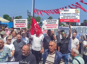 Fatsa�da f�nd�k y�r�y���nde �reticilerden ortak �a�r�
