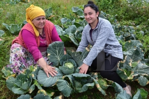 Bakan Glerin projeleri reticiye kazandryor