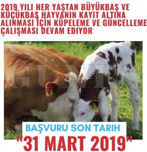 BÜYÜKBAŞ VE KÜÇÜKBAŞ HAYVAN YETİŞTİRİCİLERİMİZİN DİKKATİNE BÜYÜKBAŞ VE KÜÇÜKBAŞ HAYVAN YETİŞTİRİCİLERİMİZİN DİKKATİNE
