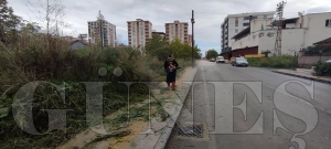 Fatsa belediyesi park ve baheler mdrlnden youn alma