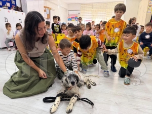 Fatsa belediyesinden dnya hayvanlar koruma gnne zel anlaml proje
