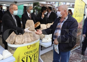 Siyez ekmei frndan kt