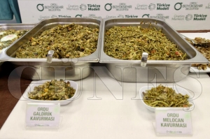 B�y�k�ehir, Ordu�nun y�resel �r�nlerine de�er kat�yor