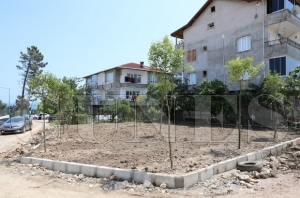 Fatsa Belediyesinden yeşillendirme çalışmaları Fatsa Belediyesinden yeşillendirme çalışmaları