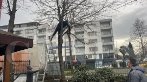 Fatsa belediyesi ye�il alanlar� bahara haz�rl�yor