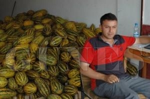 KALTEL MAL SATIYORUZ
