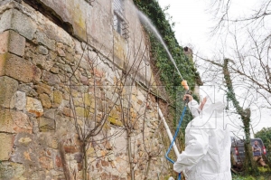 Fatsa�n�n k��laklar�nda kokarca m�cadelesi