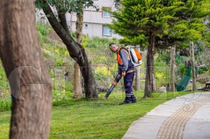 Mis gibi bir Fatsa i�in bahar temizli�i