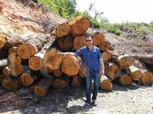 ORMAN ARAZSNDEK AALARDAN 450 BN TL GELR ELDE EDLD