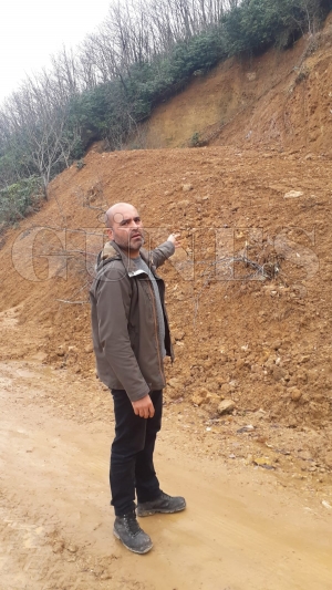 Bal orman m maden iletmesine hizmet mi?