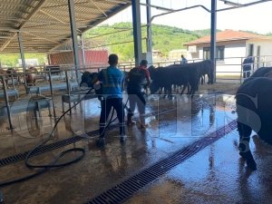 Fatsa belediyesi tarafından OBB mezbahanesinde kapsamlı temizlik ve yıkama çalışması Fatsa belediyesi tarafından OBB mezbahanesinde kapsamlı temizlik ve yıkama çalışması