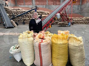 TMO�da 6 g�n sonra 50 rand�man baraj�n� �retici Hatice Y�lmaz a�t�