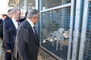 MODERN EHRCLK ANLAYIINA UYGUN HAYVAN BARINAI