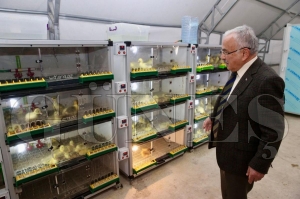 Fatsa�ya dev yat�r�m