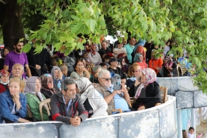 Yalky'de kabotaj cokusu