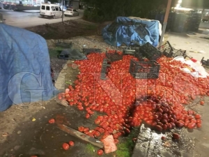 Fatsa kapal� pazar yerinde domatesler yere d�k�ld�: Temizli�i kim yapacak?