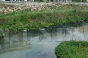 KANAL�ZASYON  P�SL��� ELEK��YE AKIYOR