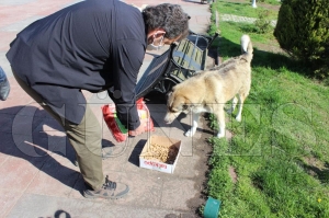 FATSA KAYMAKAMLIĞI SOKAK HAYVANLARINI UNUTMADII FATSA KAYMAKAMLIĞI SOKAK HAYVANLARINI UNUTMADII