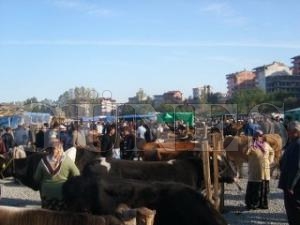 KURBAN BAYRAMI NCES KURBANLIK ALACAK VATANDALAR DKKATL OLSUN