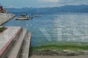 YE��L FATSA'YA BU G�R�NT�LER YAKI�MIYOR