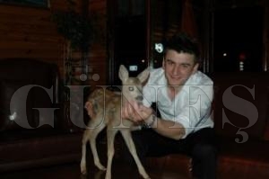 YAVRU KARACAYA SAH�P �IKTILAR