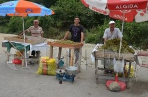FINDIK RETCS YOLLARDA TEZGH ATI