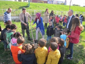 Minik eller fidan dikti Minik eller fidan dikti