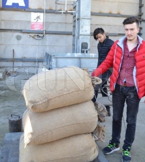 TMO 10 TL’den alım yapıyor TMO 10 TL’den alım yapıyor