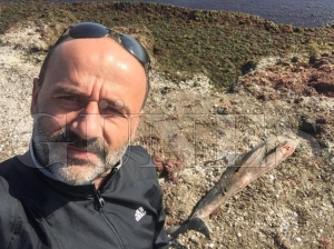 Ölü yunus karaya vurdu Ölü yunus karaya vurdu