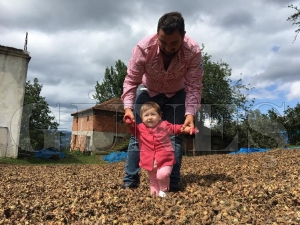 ÜRETİCİ FINDIKLA YATIYOR FINDIKLA KALKIYOR ÜRETİCİ FINDIKLA YATIYOR FINDIKLA KALKIYOR