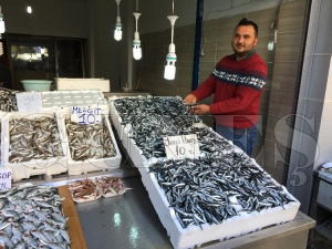 Hamsi fiyatları dolar gibi Hamsi fiyatları dolar gibi