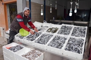 Fatsada Hamsinin fiyat el yakyor