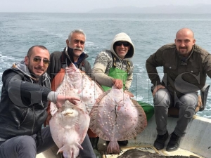 Karadeniz'de kalkan bereketi yüz güldürüyor Karadeniz'de kalkan bereketi yüz güldürüyor