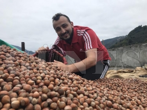 'Kahverengi altnlar' iin nbet tutuyorlar