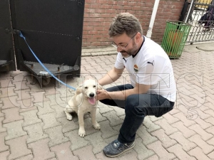 Sahipsiz köpeği polis sahiplendi Sahipsiz köpeği polis sahiplendi