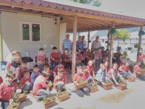 Minik öğrenciler çilek dikti Minik öğrenciler çilek dikti