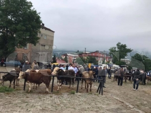 Hayvan pazarında sessiz bekleyiş hakim Hayvan pazarında sessiz bekleyiş hakim