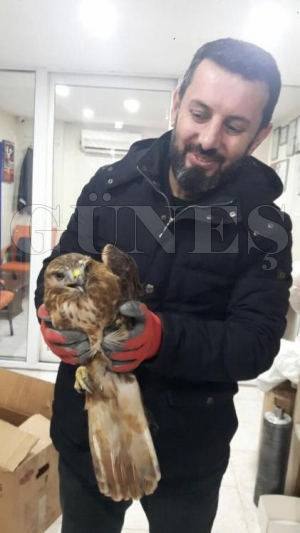 YARALI DOĞANA SAHİP ÇIKTI YARALI DOĞANA SAHİP ÇIKTI