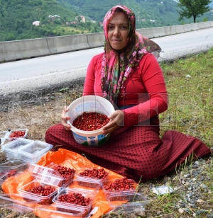 Bu dağ çileğin kilosu 120 TL Bu dağ çileğin kilosu 120 TL