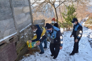 Fatsa belediyesi doaya, kular iin yem, sokak hayvanlar iin mama brakt