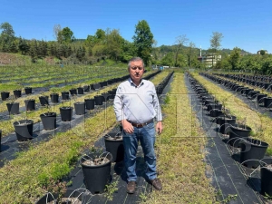 Fatsa’nın eski belediye başkanı Hüseyin Anlayan’dan örnek tarımsal girişim Fatsa’nın eski belediye başkanı Hüseyin Anlayan’dan örnek tarımsal girişim