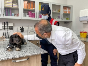 Can dostumuza Vali Sonel sahip kt