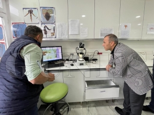 Seraların Doğal işçisi Bombus Arısı, Ordu’da üretiliyor Seraların Doğal işçisi Bombus Arısı, Ordu’da üretiliyor