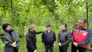 Vali Sonel, “Fındıkta verim ve kaliteyi artırmak için zirai mücadele önemli” Vali Sonel, “Fındıkta verim ve kaliteyi artırmak için zirai mücadele önemli”