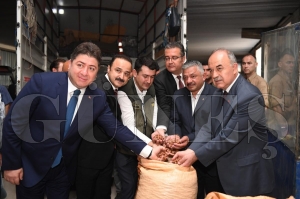 TMO fındık alımına başladı TMO fındık alımına başladı