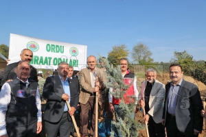 100. Yıl Cumhuriyet ormanı fidan dikimi etkinliği yapıldı 100. Yıl Cumhuriyet ormanı fidan dikimi etkinliği yapıldı