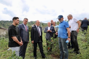 VAL EROL  ARONYA RETCSN ZYARET ETT