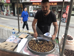 Kn habercisi kestane tezgahlarda