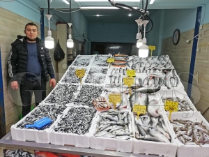 Hamsi 15 liradan satlyor