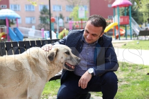 SOKAA IKMA YASAI SRESNCE AKLINIZ CAN DOSTLARIMIZDA KALMASIN
